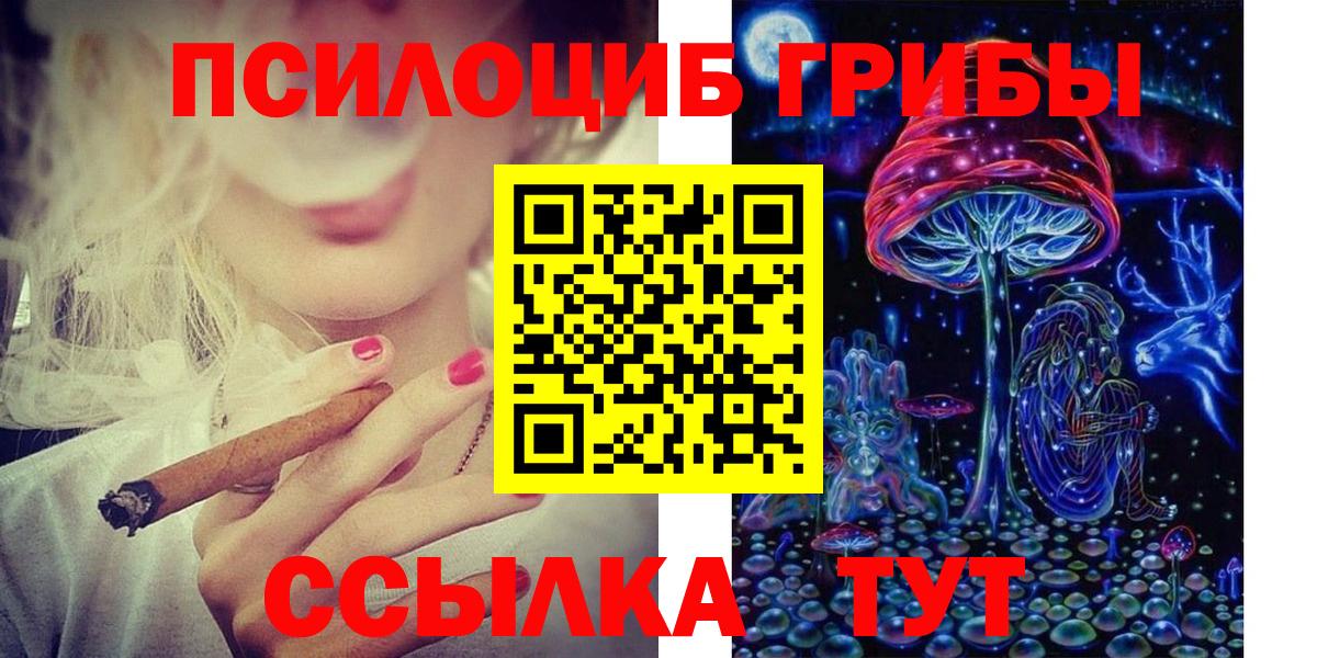 Буйнакск  Галлюциногенные грибы GOLDEN TEACHER  где купить наркотик  Вход с VPN 